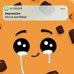 Meet your Posher, Ray